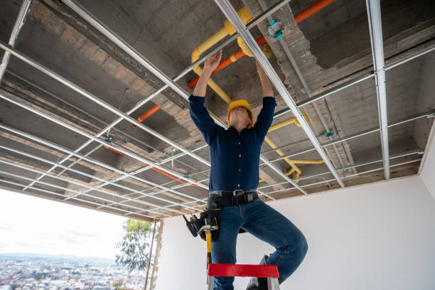 Best Water Leak Repair  in Buffalo Grove, IL