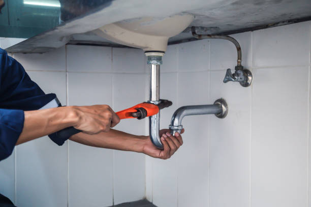 Best Clogged Drain Plumber  in Buffalo Grove, IL