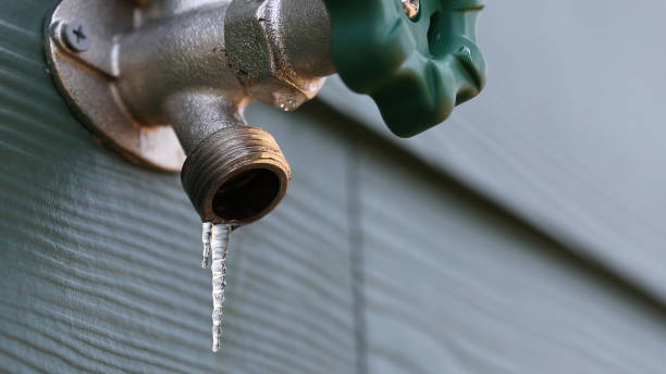 Best Local Plumber Services  in Buffalo Grove, IL